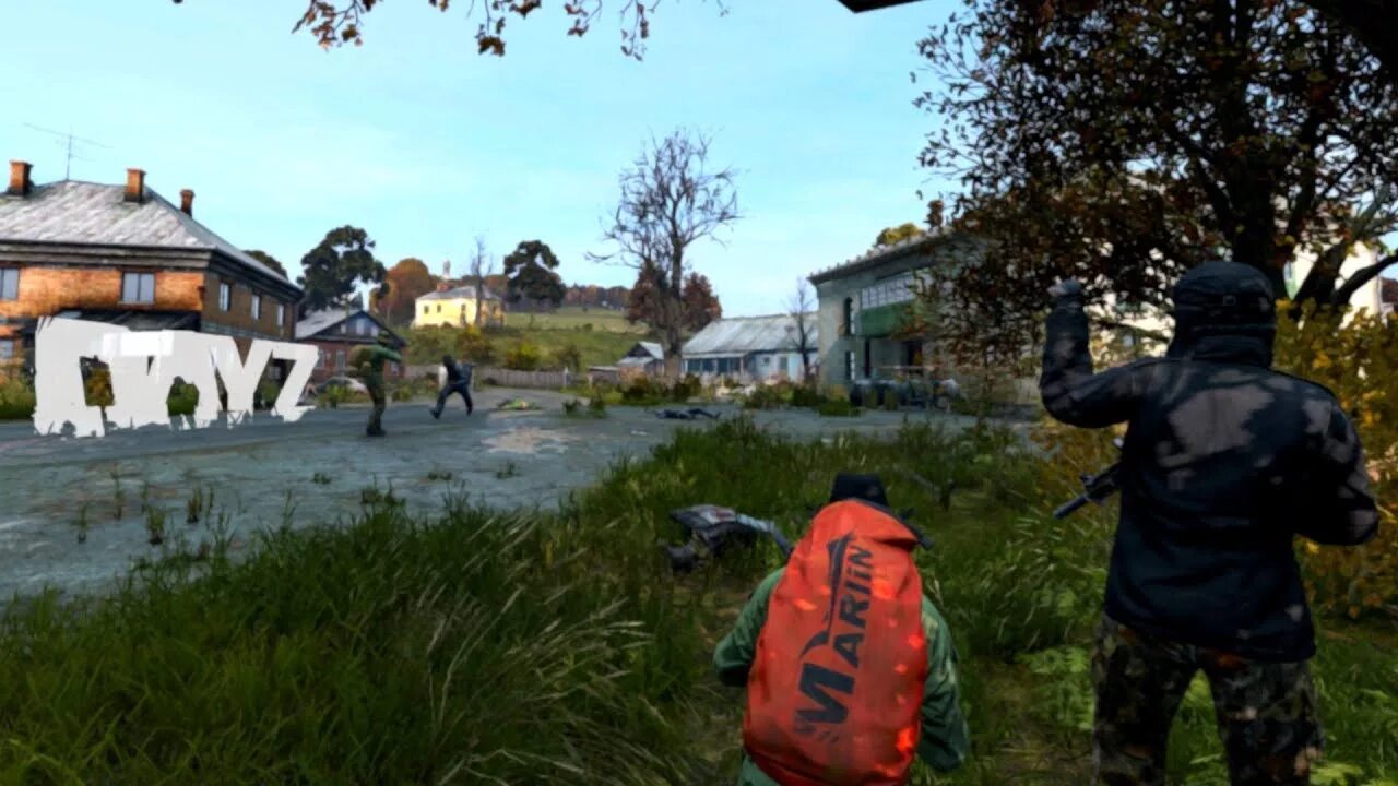 Dayz женский персонаж. Dayz стрим. Dayz обои. Flag dayz. Видео дези.