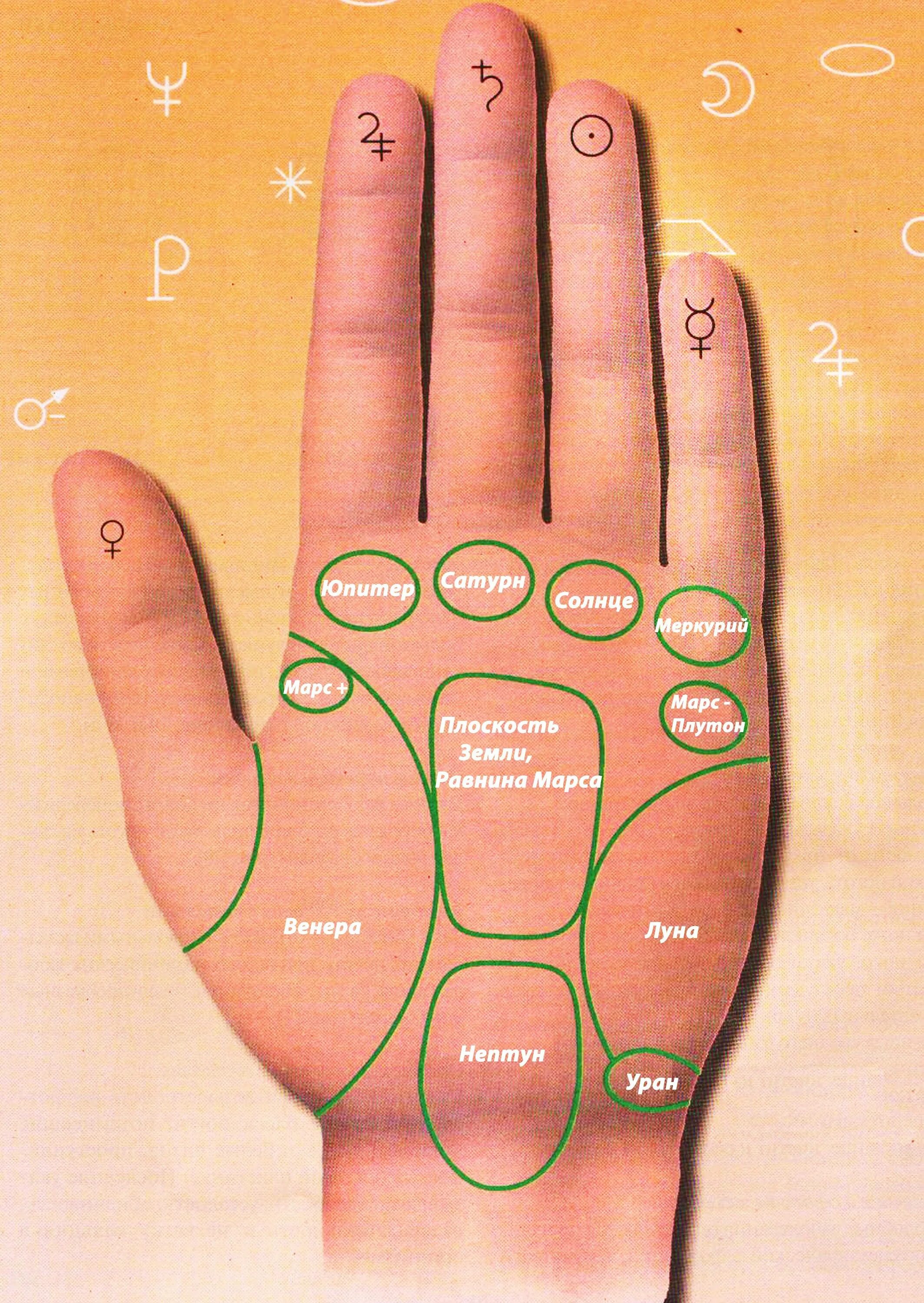 Хиромантия квадрат. Хиромантия холм Марса на ладони. Хиромантия холм Юпитера. Бугор Марса на ладони хиромантия. Линия на Холме Марса хиромантия.