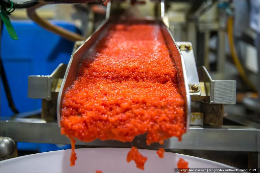 Трехлитровая банка красной икры. Красная икра изготовитель. Икра лососевая зернистая 140 гр персей. Ассортимент икры. Икра красная камчатка.