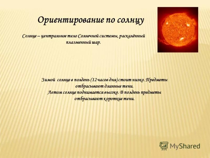 Поднимется солнце заглянет. Поднимется солнце заглянет