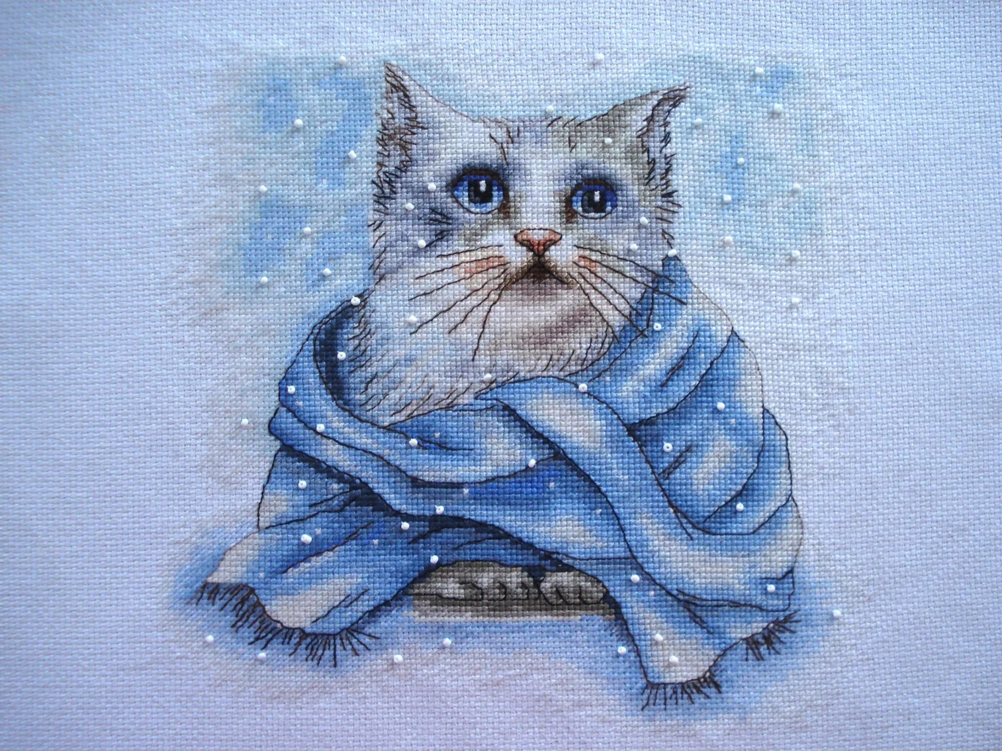Нарисуй синего кота
