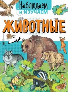 Наблюдаем изучаем