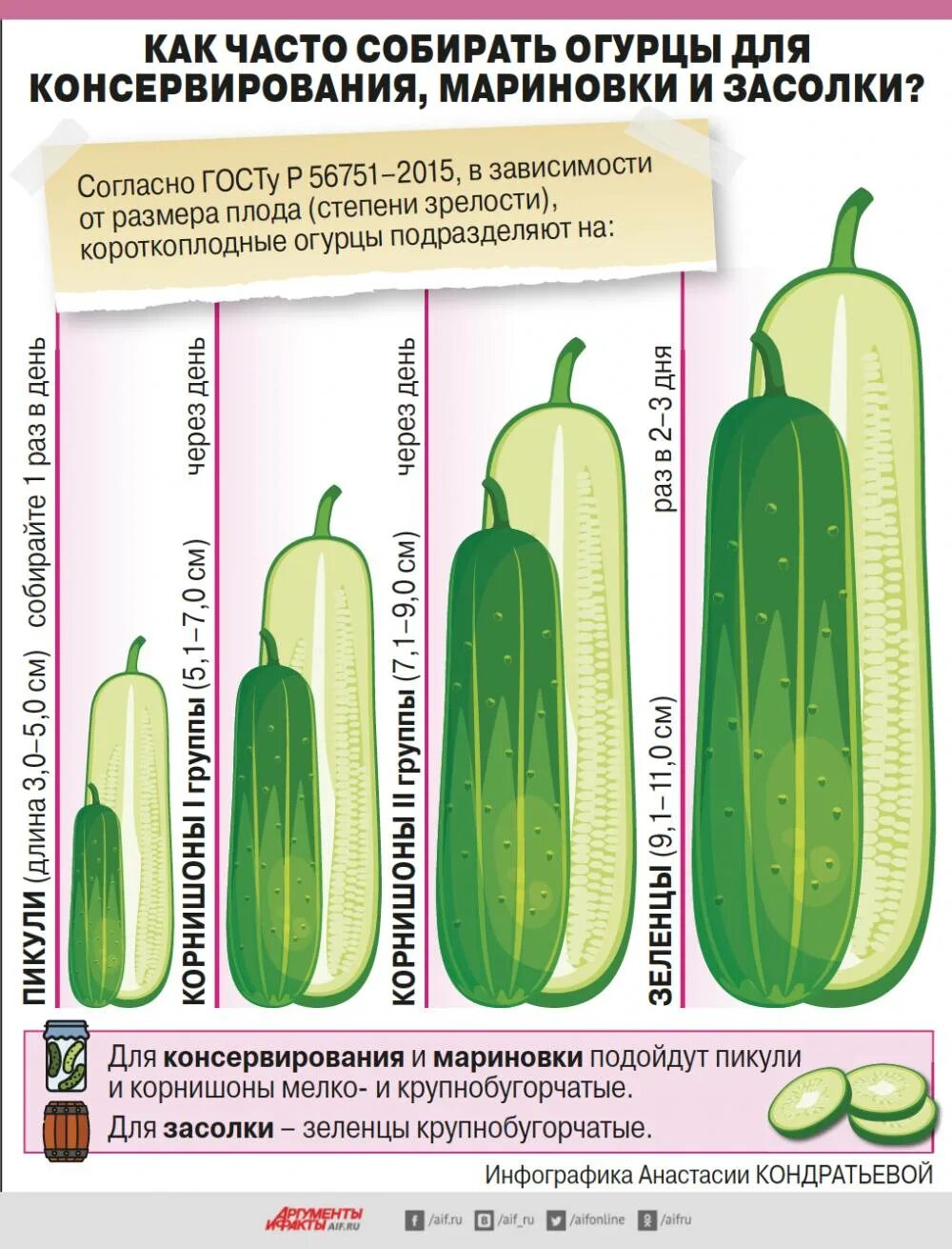 Какой сорт огурца лучше для засолки. Огурцы разновидности. Огурцы корнишоны сорта. Огурцы короткоплодные сорта. Сорта огурцов пикулей.