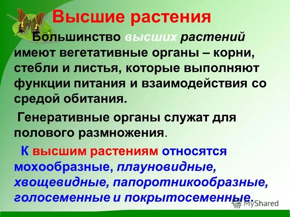 Характеристика высших растений. Признаки высших растений. основные признаки вывих растений. общая характеристика растений.