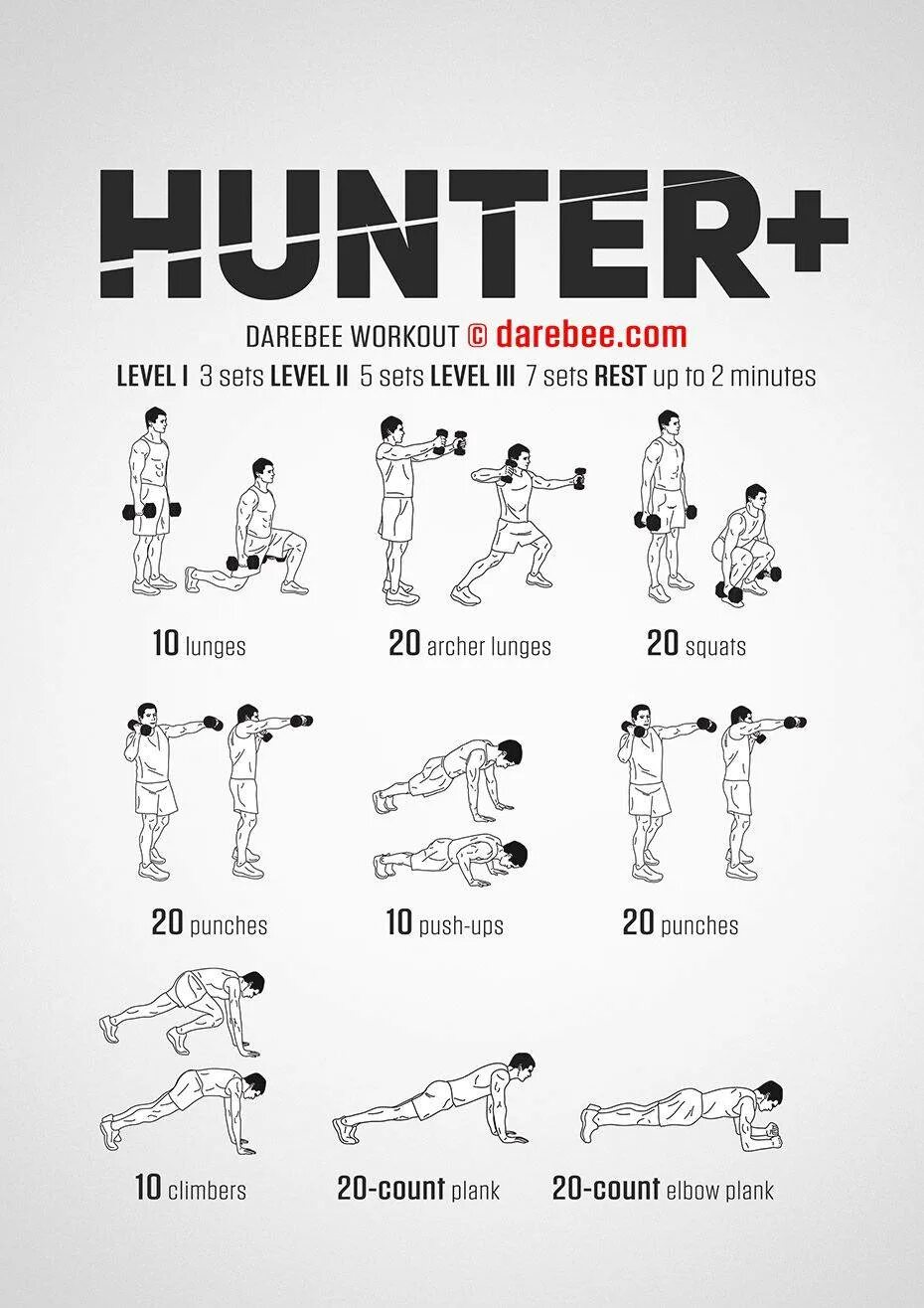 Программа на неделю гантели. План тренировок с гантелями дома. darebee workouts гантелями. программа с гантелями в домашних условиях для мужчин. программа тренировок гантели дома.