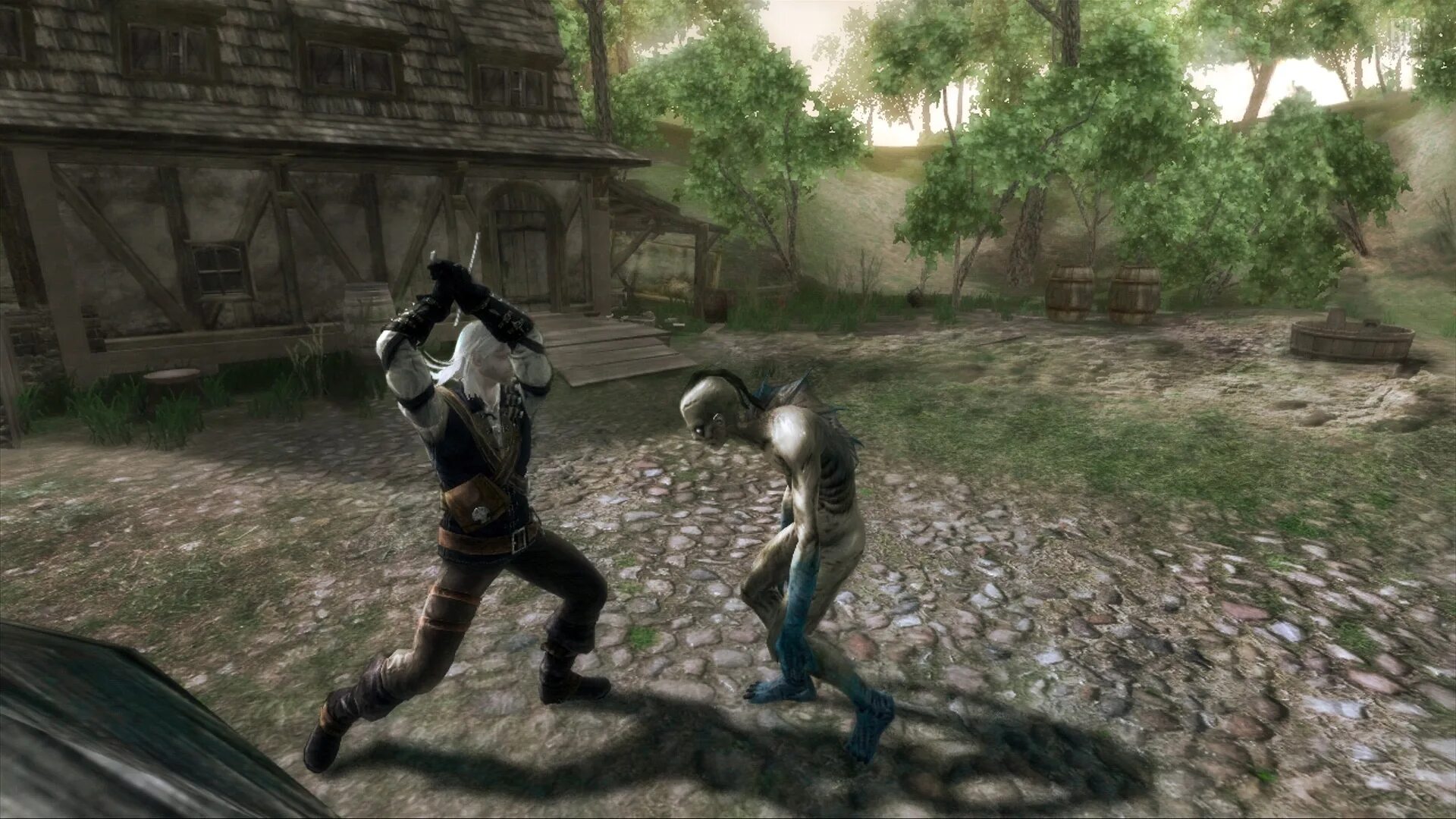 Witcher 2 white wolf. Rise of the white wolf. вызима ведьмак 1 каэр. эревард ведьмак. мод the rise of the white wolf.