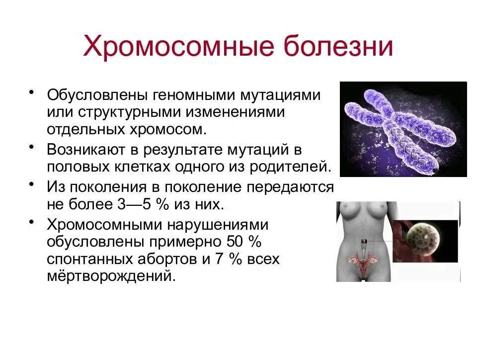 Болезни связанные с изменением хромосом. Почему возникают хромосомные болезни. Хромосомные заболеваний (причины, симптомы). Хромосомные болезни, связанные с изменением числа половых хромосом. Болезни обусловленные хромосомными мутациями.