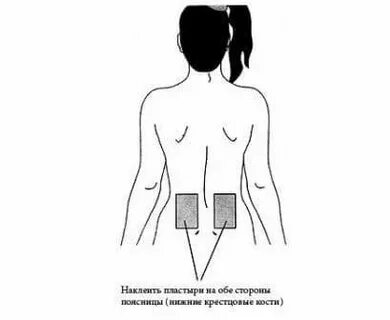 Куда лепить