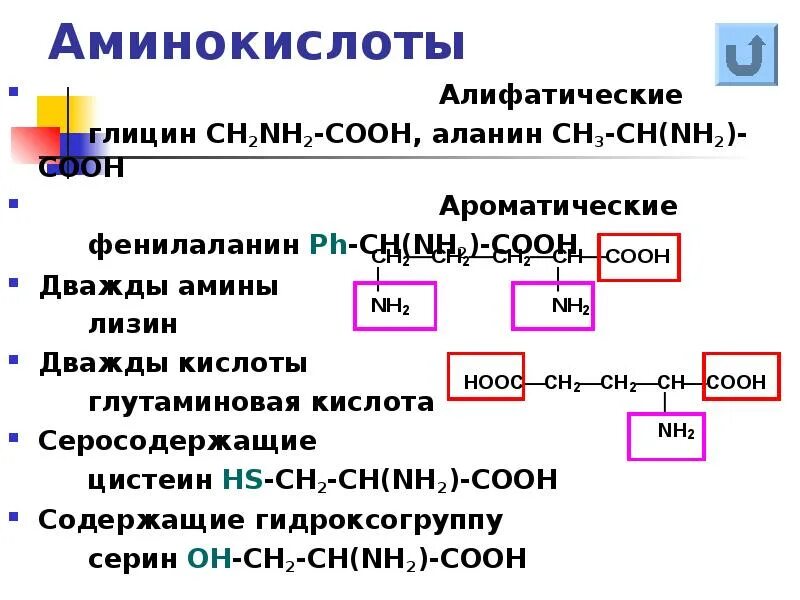 Ch ch ch cooh nh. Ch2nh2cooh аланин. Nh2ch2ch2cooh название аминокислоты. Nh2 ch2 2 Cooh аминокислота. Алифатические аминокислоты.