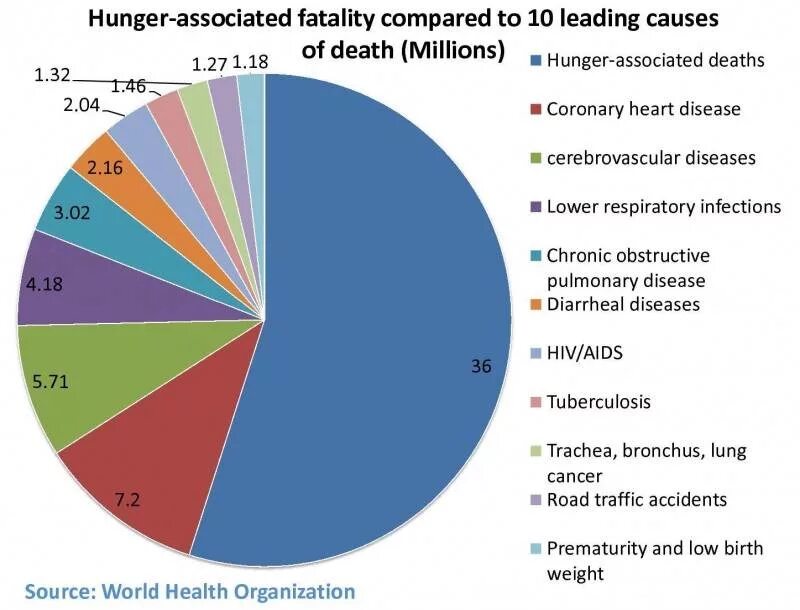 Голод статистика. Статистика голода. Статистика голодающих людей. Causes of Hunger. Голод статистика на диаграмме.