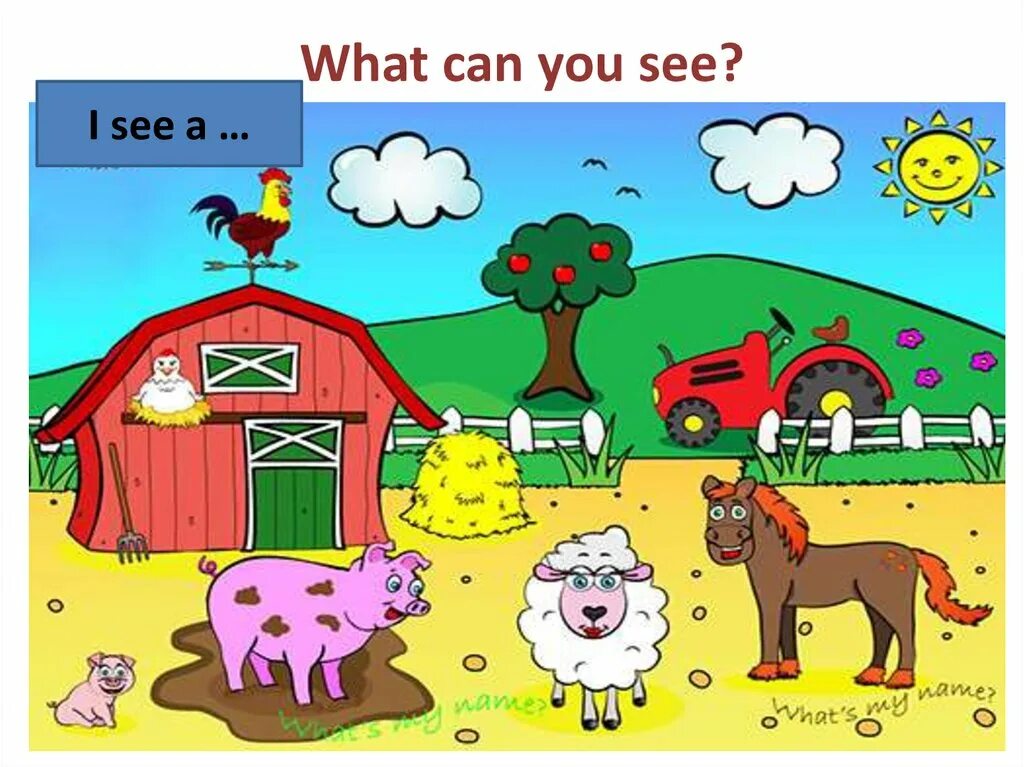 Could see. What can you see. Картинки для описания i can see. I can see игра для детей. How many картинки для описания.
