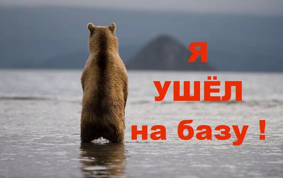 вернутся на базу. вернутся на базу. вернутся на базу. вернутся на базу. вывеска ушла на базу.