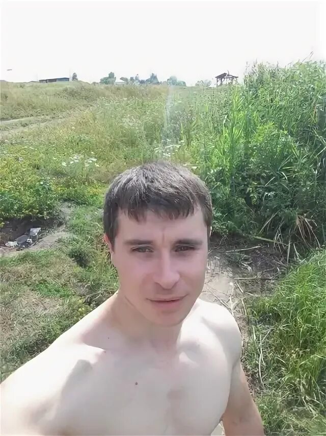Курица старый оскол. Курицы старый оскол.