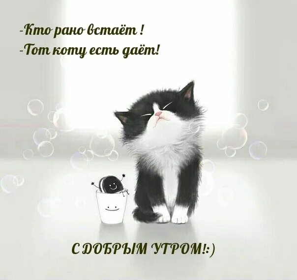 #Доброе #Утро! 2024 #Новое Поколениe... ВКонтакте
