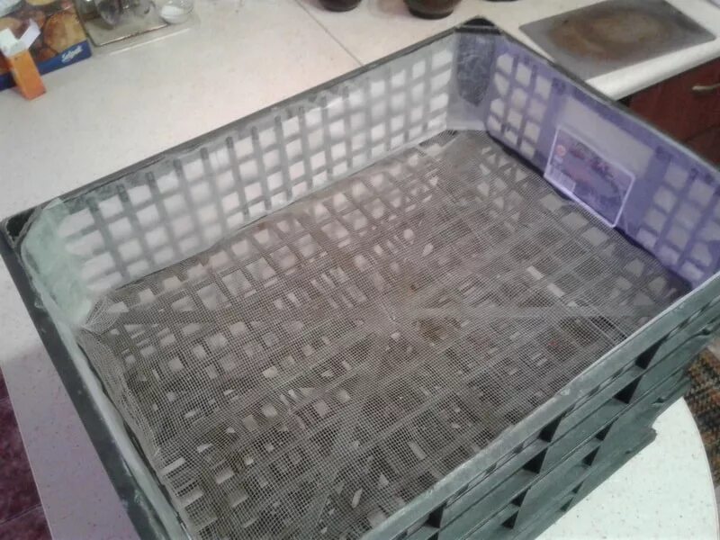 Как сделать сушилку для фруктов. Сушилка для фруктов из москитной сетки. ящик сетчатый для овощей. сетка для сушки фруктов. поддоны для сушки грибов.