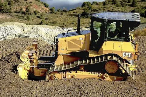 Cat grade