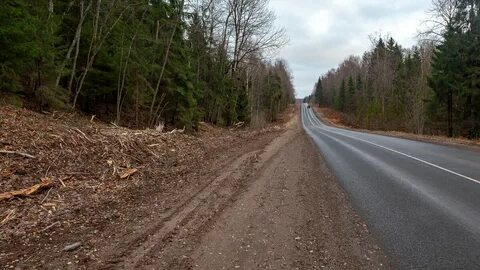 Авто новгородская область