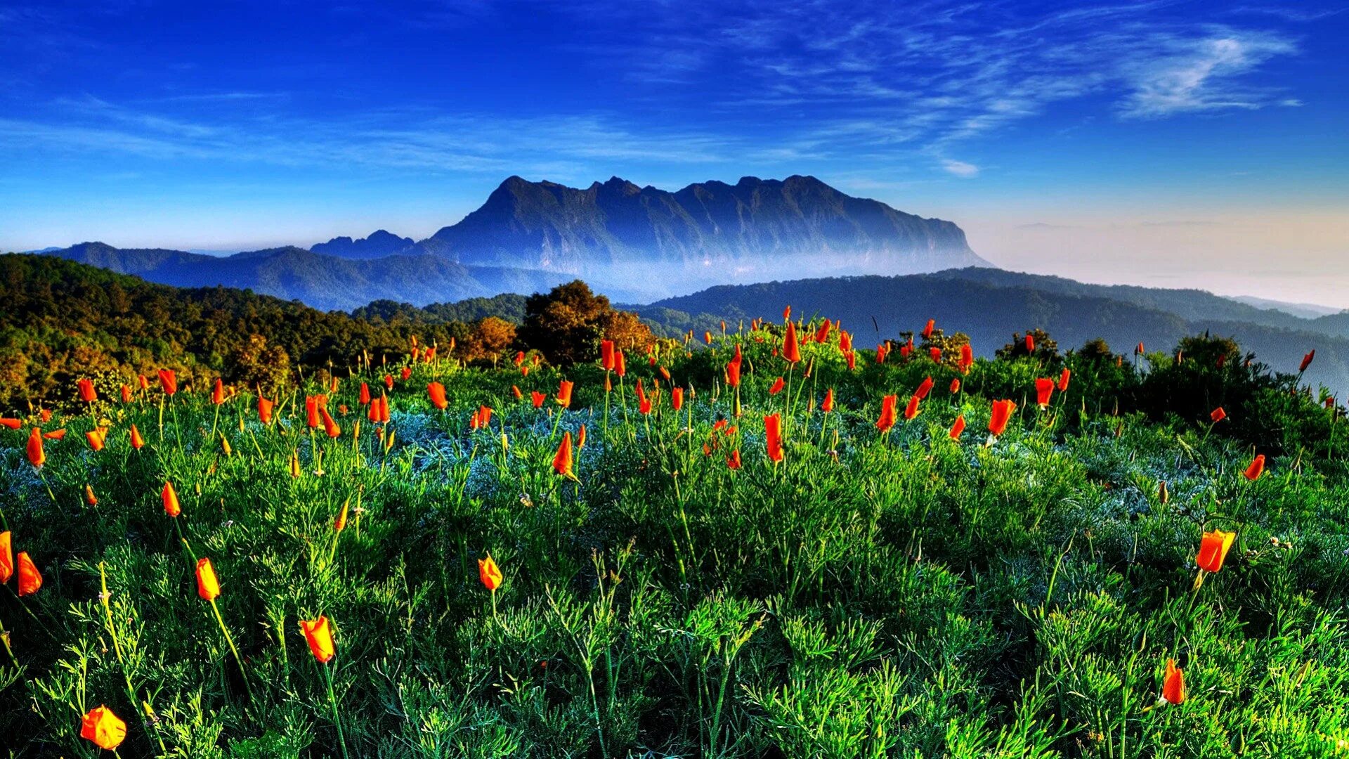 Обои на рабочий стол горы весной. Долина Мак Деира. Чиангмай горы. Красота природы.