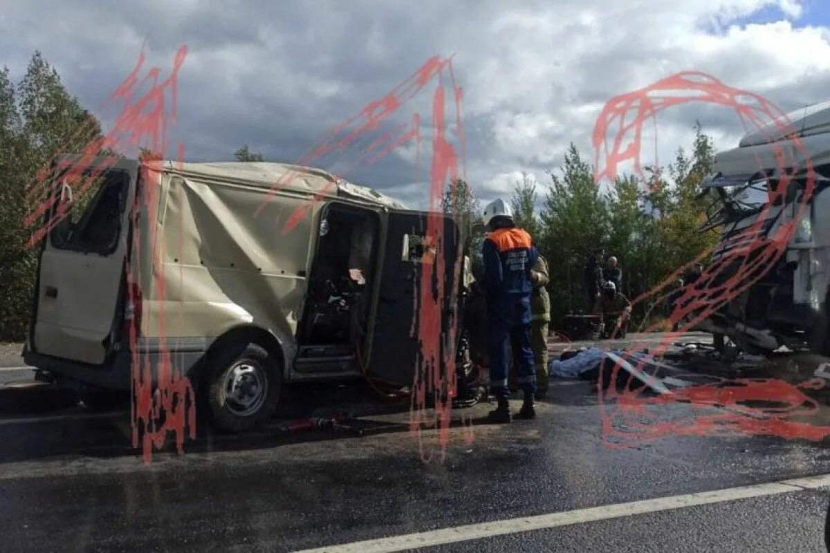 Дело башинбаева что случилось. Дело башинбаева что случилось