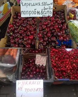 В 2 ведрах 29 2 килограмма черешни
