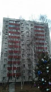 Дыбенко 42