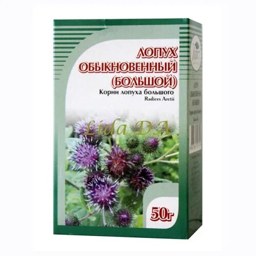 Препараты из лопуха. Лопух(корень) алтаймаг. Репейник в аптеке. Лопух корни 50г фармпродукт. Корень лопуха лекра сэт лекрасэт.