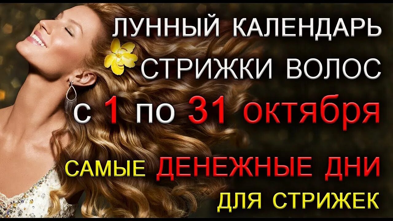 Газета Оракул - "Иногда даже гороскоп кажется страшнее вещего сна !)) Эзотеричес