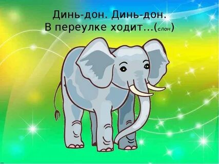 Дон слон