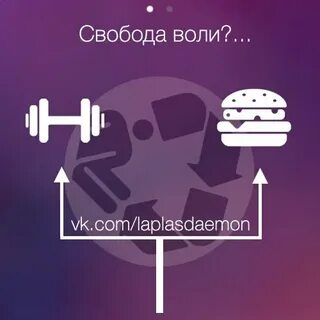 Свобода воли право