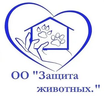 Мир добрых сердец приют для кошек