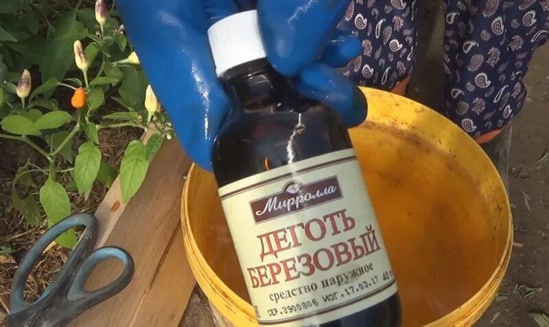 Адская смесь против болезней и вредителей в саду и огороде. Адская смесь против болезней и вредителей в саду и огороде рецепт. Адская смесь против болезней и вредителей в саду и огороде рецепт. Адская смесь для вредителей в саду и огороде. Адская смесь против болезней и вредителей в саду и огороде рецепт.