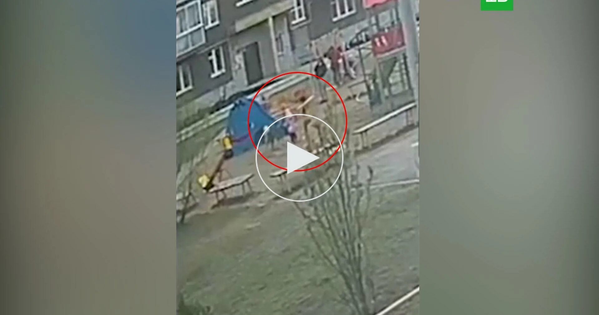 Спас девочку от собаки