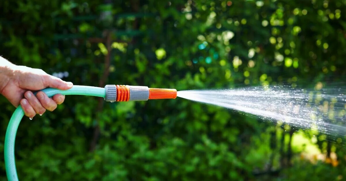 Девушка на газоне. Видео со шлангами. Девушка со шлангом. Человек шланг. Полив огорода шлангом.