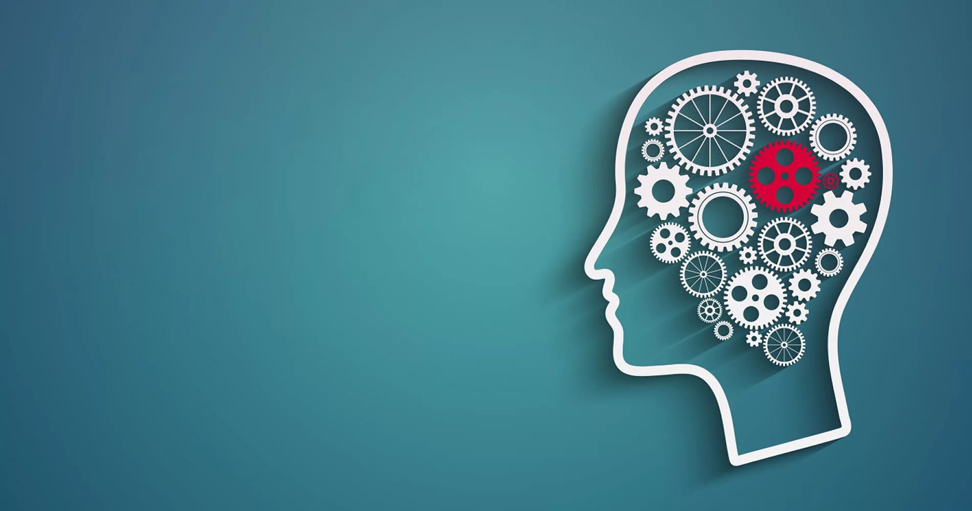 The science of thinking