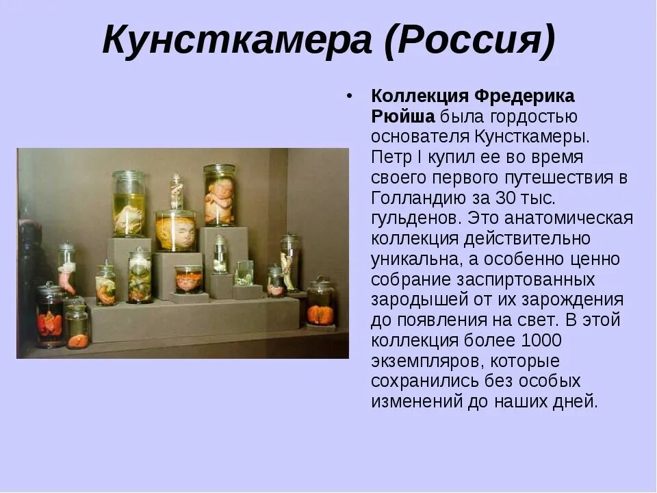 Основанная петром кунсткамера. Коллекция рюйша в кунсткамере. анатомическая коллекция рюйша кунсткамера. кунсткамера препараты рюйша. коллекция фредерика рюйша кунсткамера.
