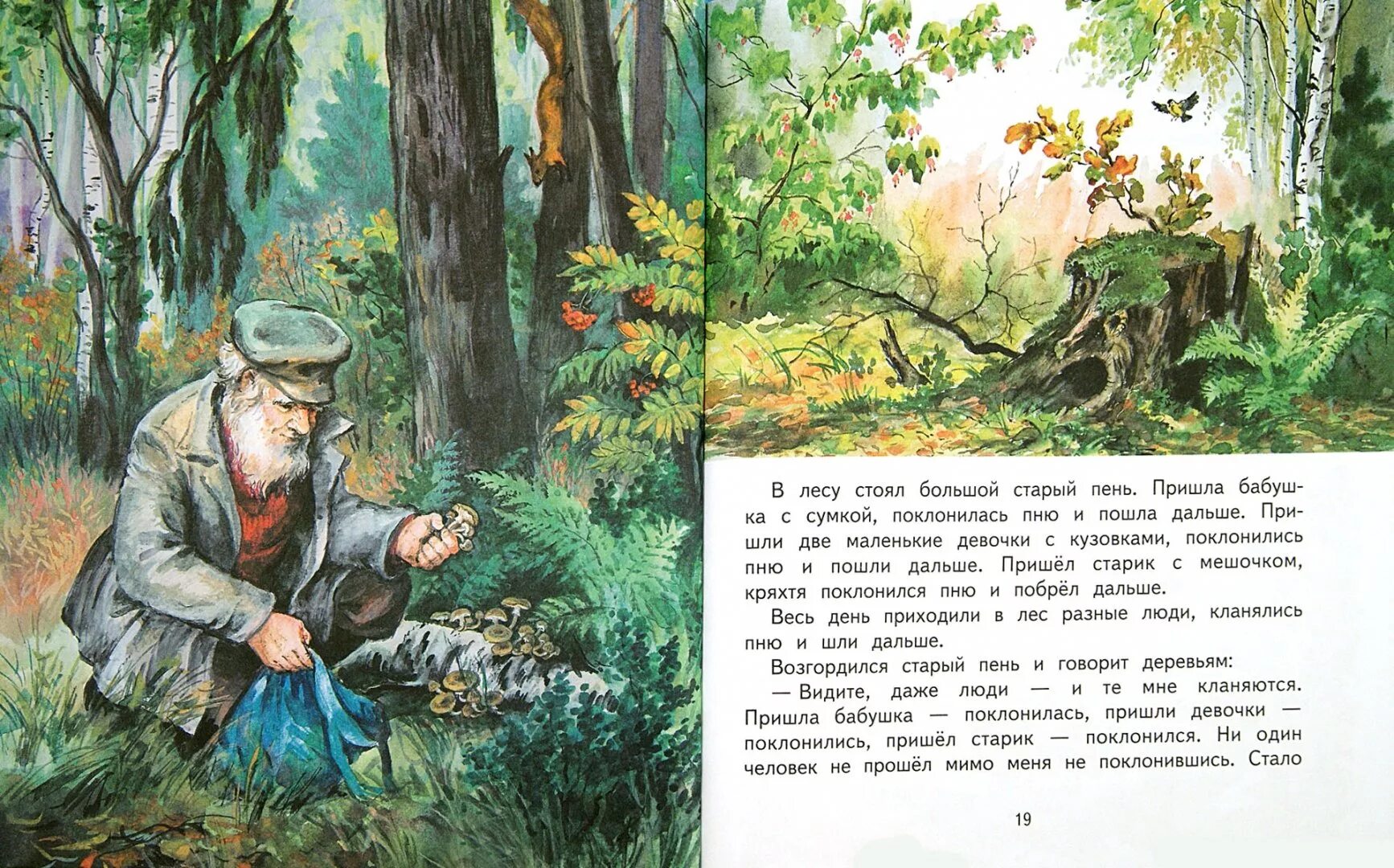 Катаев пень. Пень рассказ катаева. Старый пень катаев. Пень рассказ катаева. Старый пень катаев.