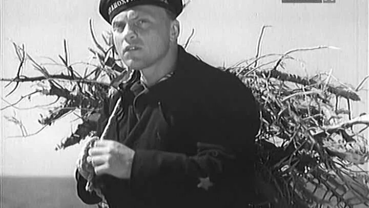 Комендант видео. Художественный фильм «комендант птичьего острова» 1939. Комендант видео. Михайлов днр старобешево. Николай иванович орлов комендант долины смерти.