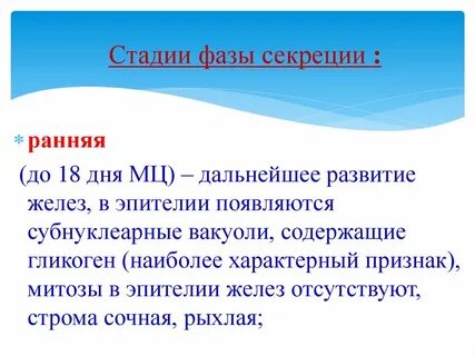Ранняя стадия секреции эндометрия