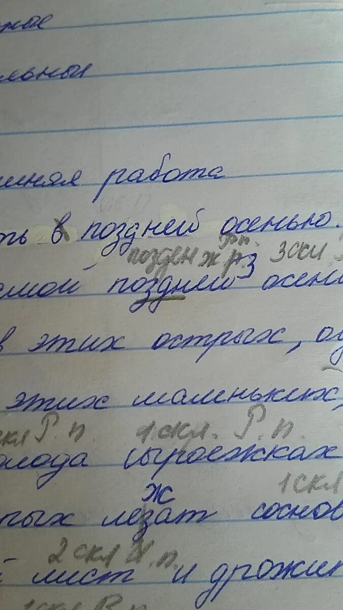 Тем разбор под 3. Тем разбор под 3
