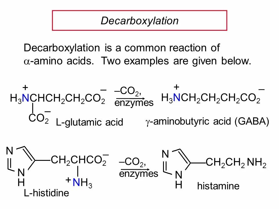 Decarboxylation of Amino acids. Decarboxylation of Amino acids Coash. Аминос=кислоты. Decarboxylation of Amino acids cofactor. Реакция d n