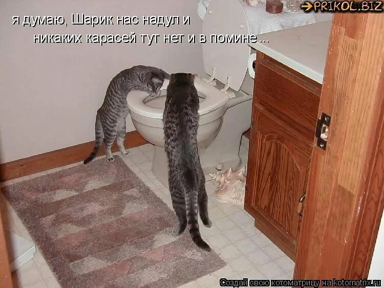 Вася ложкин папа вернулся. Ушла в себя скоро вернусь. Вернулся васенька домой. Черный кот надпись. Приколы про нервы.