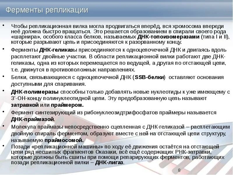 Какой из ферментов участвующих в репликации. Ферменты репликационной вилки. ферменты и белки репликации. ферменты в репликационной вилке. формирование репликативной вилки ферменты.