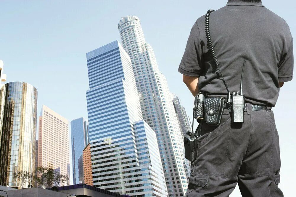 Охрана объектов. Охрана бизнеса. Security охрана. Офис охраны. Пульт охраны.