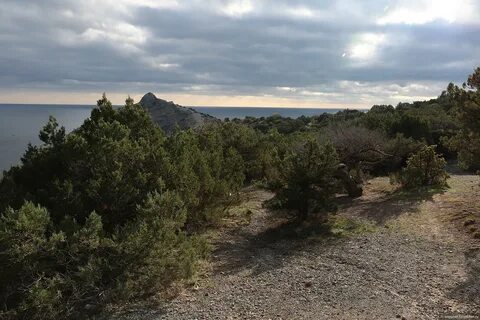 Ботанический заказник