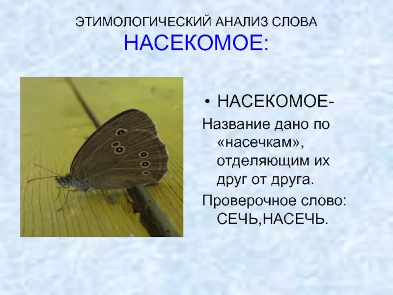 Представляющий от какого слова. Этимологический анализ. Этимологический анализ слова. Этимология этимологический анализ слов. Этимологический анализ текста.