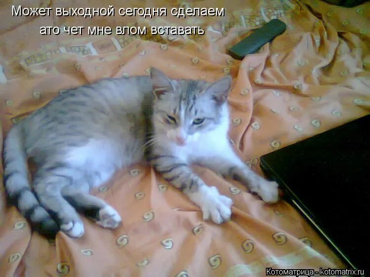 Песню я домой сегодня выходной. Текст песни. Текст месни не возвращайся. Наконец выходные. Бери шинель пошли домой ноты.