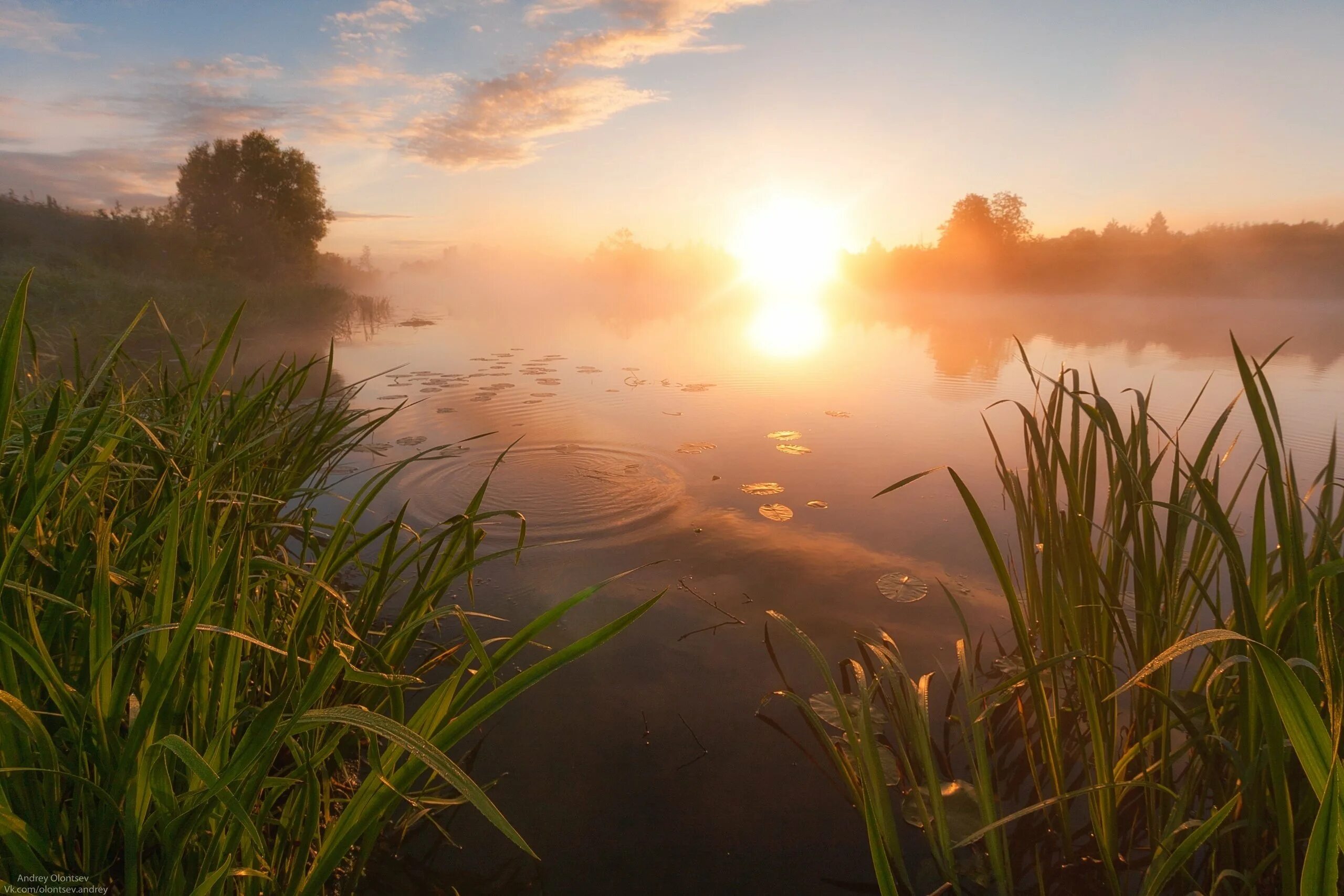 восход солнца на реке. пейзаж рассвет. андрей олонцев фотограф. восход солнца на реке. утро на реке.