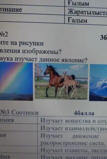 Рассмотрите явление отображенное на рисунке как ученые