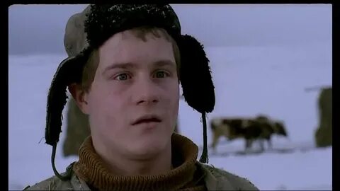В созвездии быка 2003
