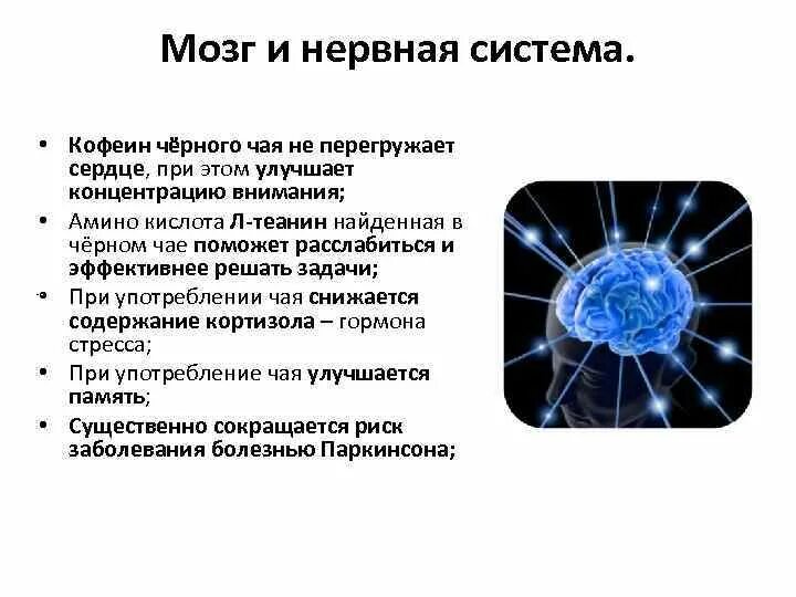 Как кофе влияет на мозг. Кофеин воздействие на цнс. кофе влияет на нервную систему. влияние кофеина на нервную систему. эффекты кофеина на цнс.